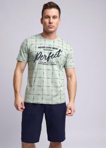 Футболка мужская 531842/06гн_п